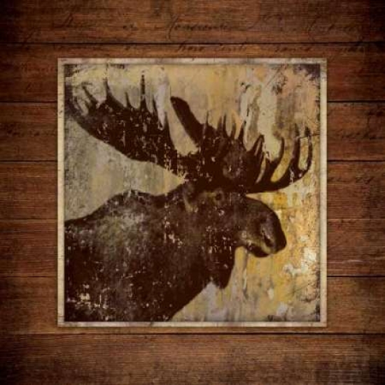 Moose Portrait Poster Print by Stephanie Marrott - 24 x 24 - Large