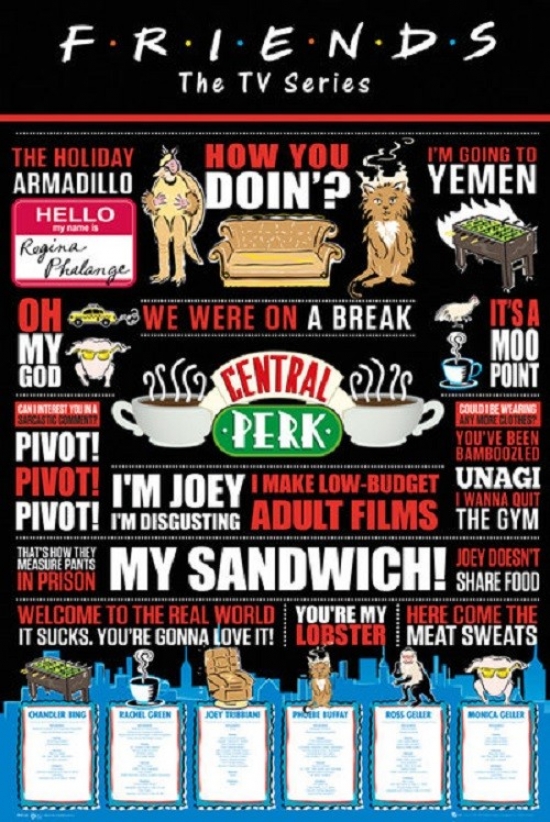Friends Infographic Poster Print - 24 x 36