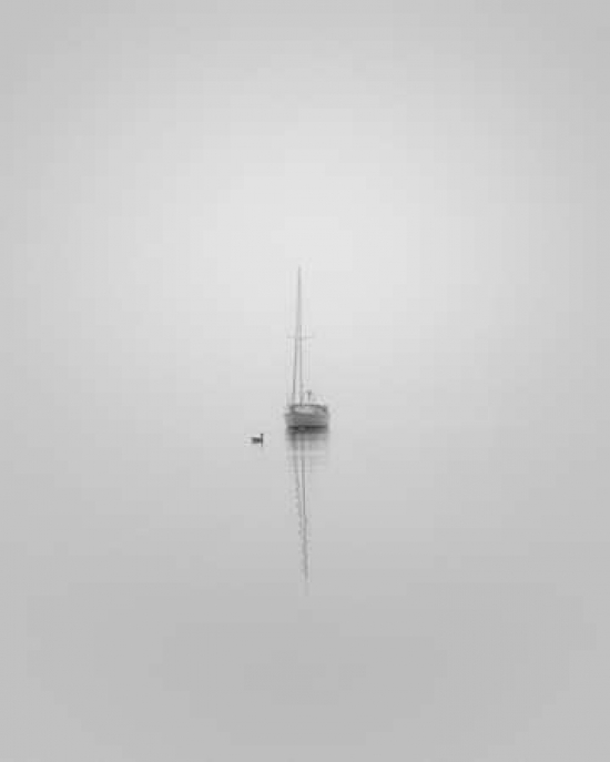 Companions Poster Print by Nicholas Bell - 8 x 10 - Small