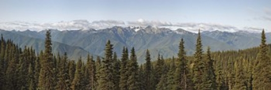 PPI130056S Mountain Range Olympic Mountains Hurricane Ridge Olympic National Park Washington State USA Poster Print, 18 x 6