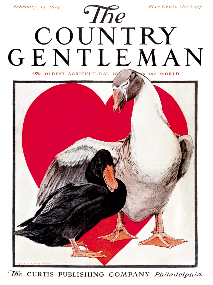 Cover of Country Gentleman Agricultural Magazine From The Early 20th Century Poster Print - 13 x 17 in.