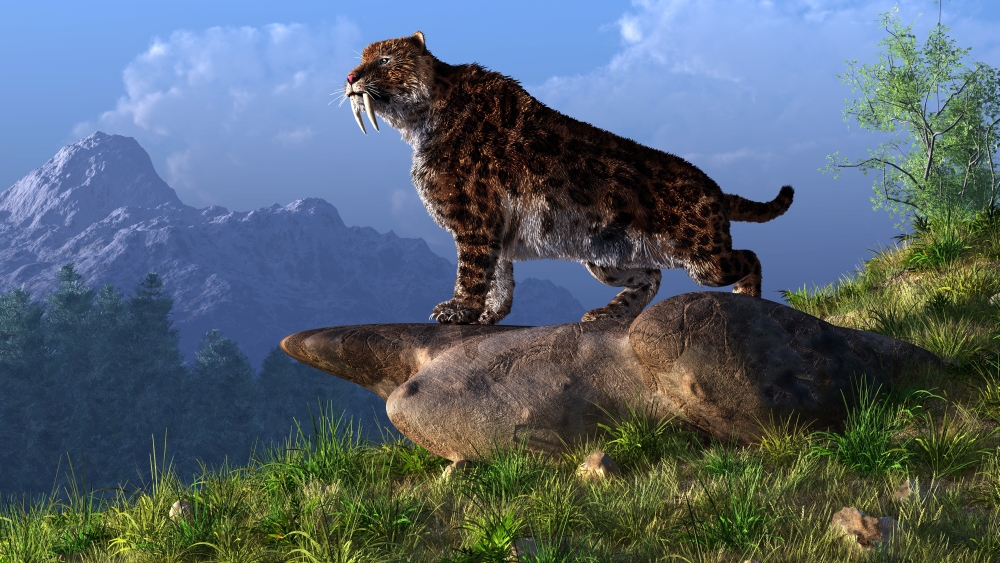 Smilodon On A Mountainside Poster Print, 18 x 10