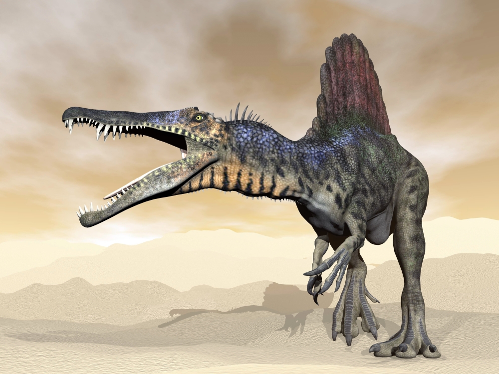 Spinosaurus Dinosaur Roaring in The Desert Poster Print, 32 x 24 - Large