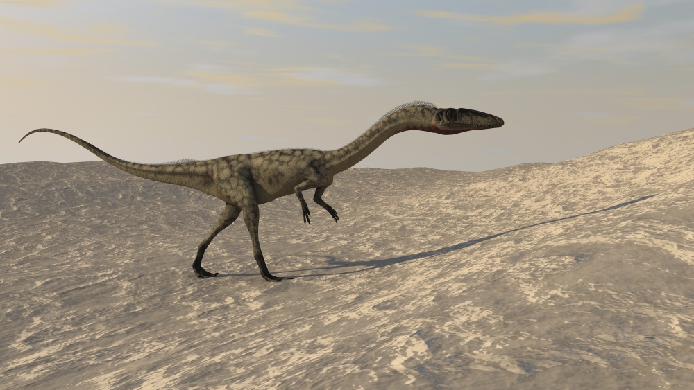 Coelophysis Walking Through A Desert Environment Poster Print - 18 x 10