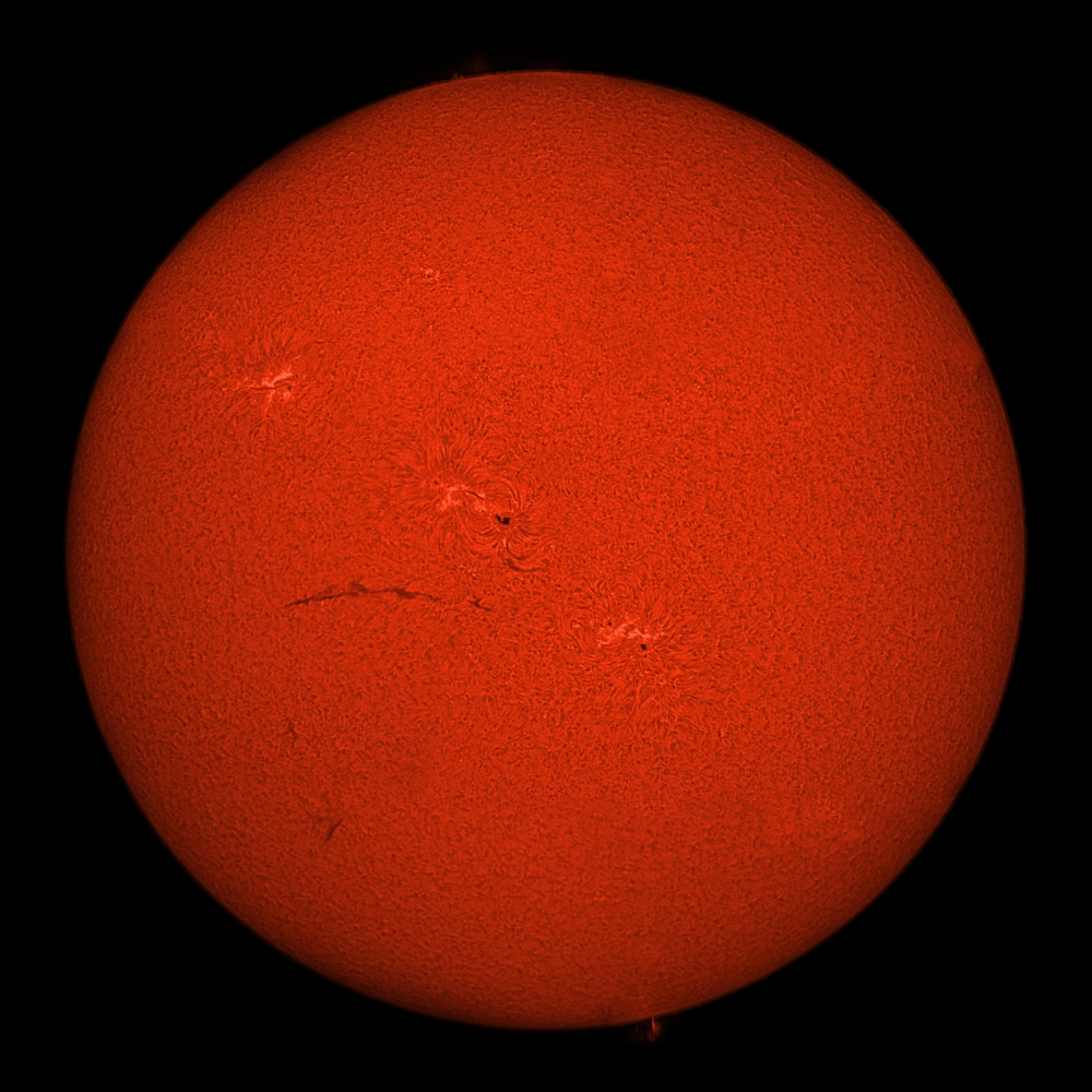 H-Alpha Full Sun in Red Color with Active Areas & Filaments Poster Print - 14 x 14