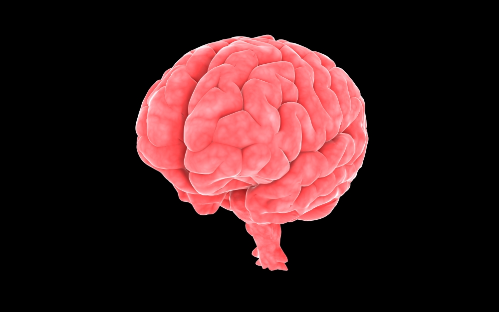 Conceptual Image of Human Brain Poster Print, 35 x 22 - Large