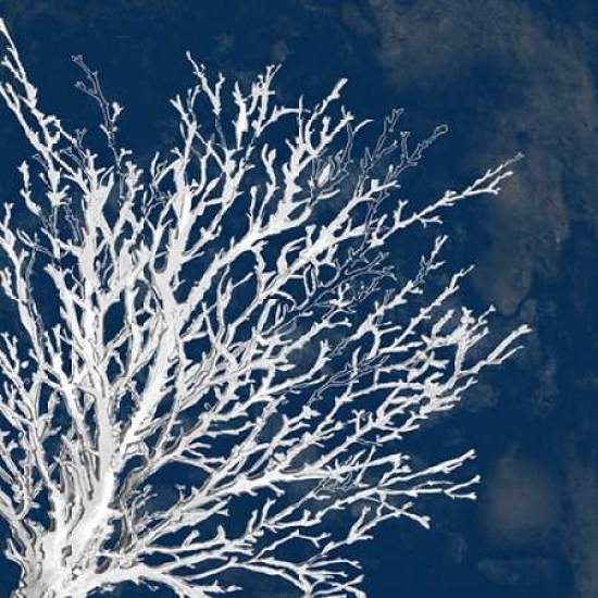 Coastal Coral II Poster Print by Lanie Loreth, 12 x 12 - Small