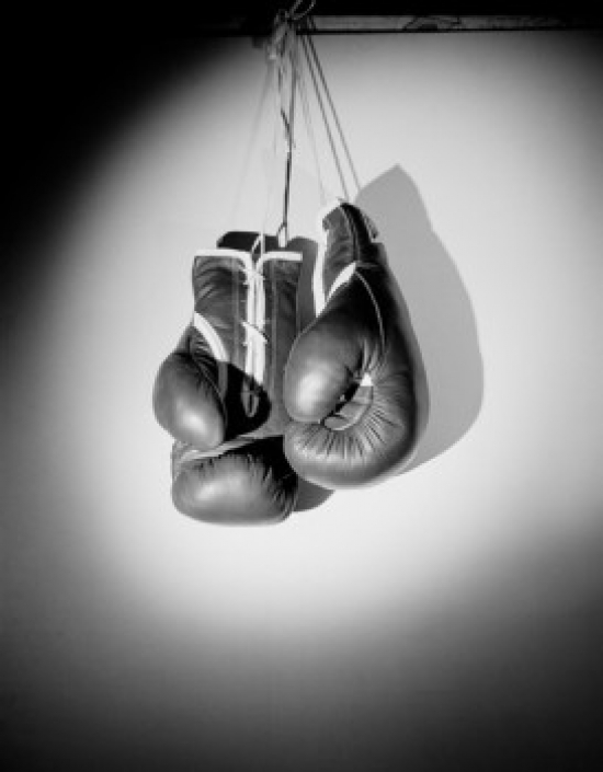 Pair of Boxing Gloves Poster Print, 18 x 24