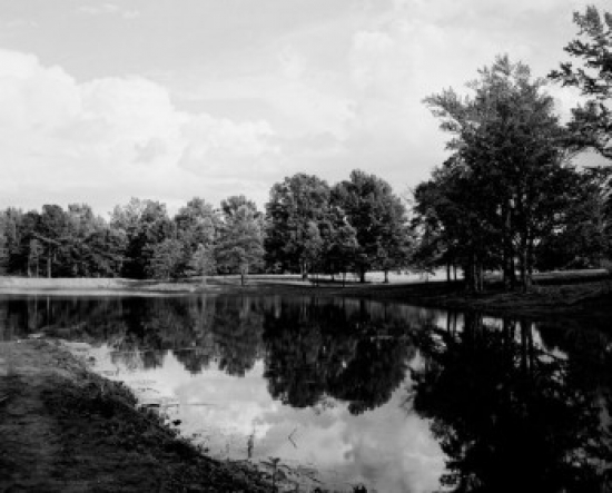 Tranquil Lake Poster Print - 18 x 24