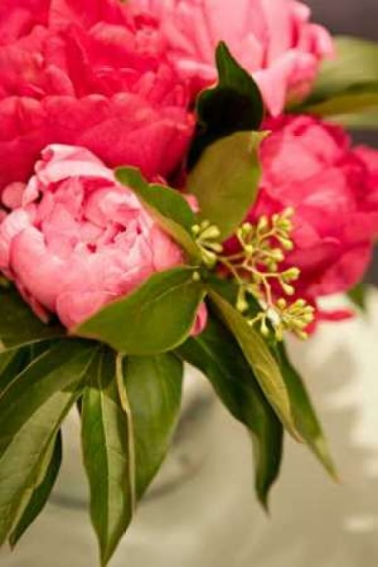 Peonies I Poster Print by Karyn Millet, 12 x 18 - Small