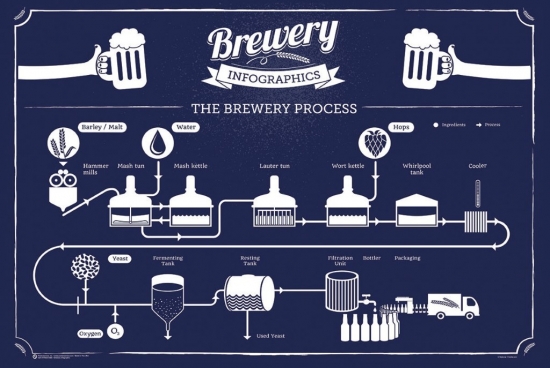 XPE160250 Brewery Infographic Poster Print, 24 x 36
