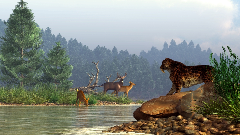 A Saber-Toothed Cat Looks Across A River At A Family of Deer Poster Print - 18 x 10