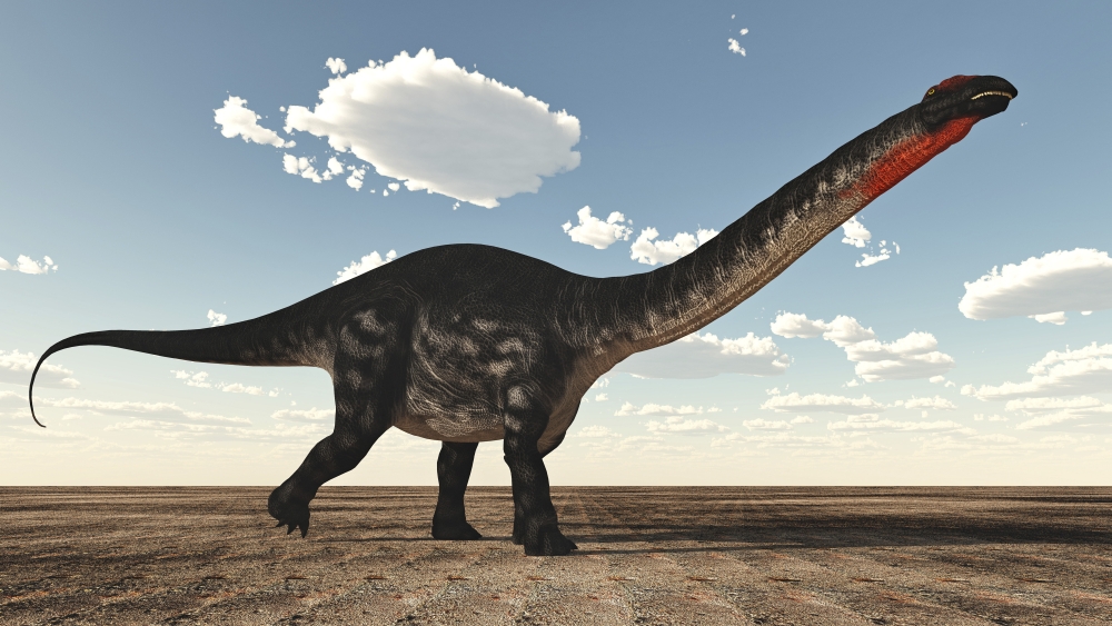 Apatosaurus Dinosaur Walking in The Desert Poster Print, 19 x 10