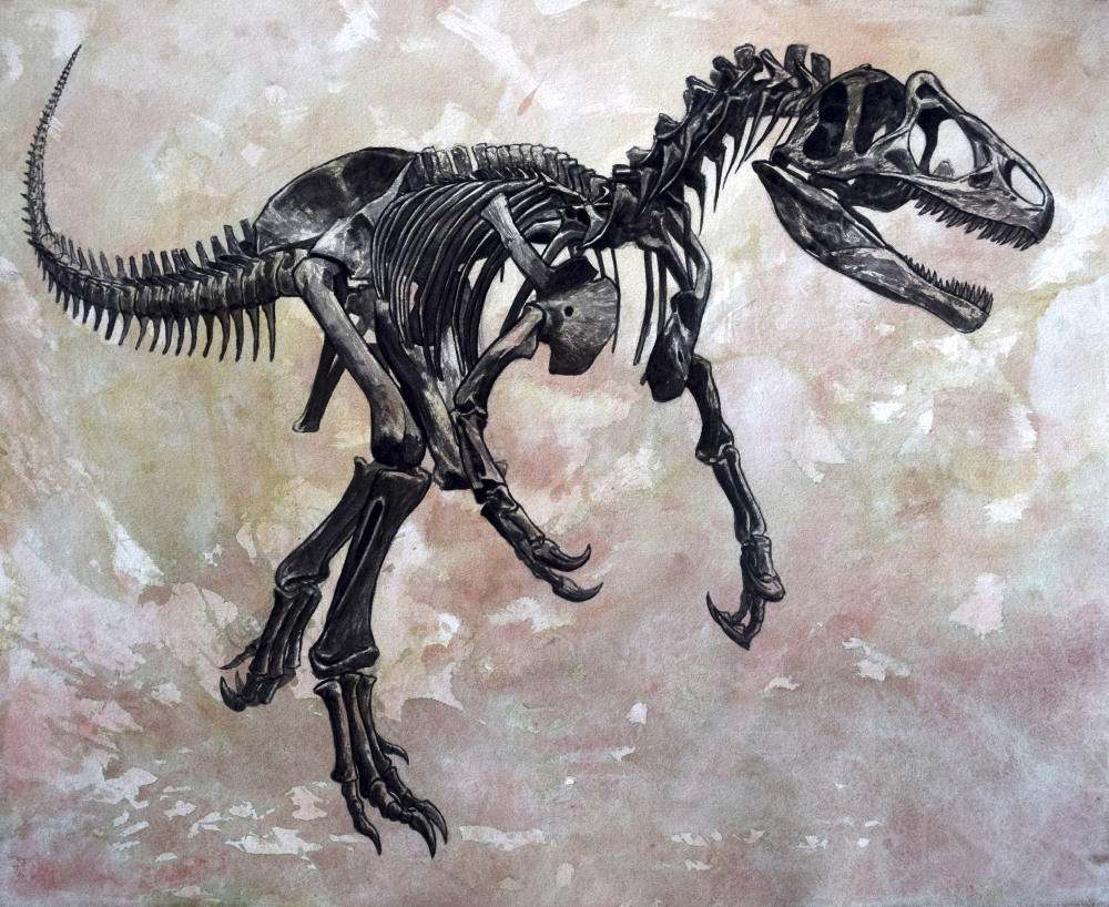 Allosaurus Dinosaur Skeleton On Textured Background Poster Print - 15 x 12