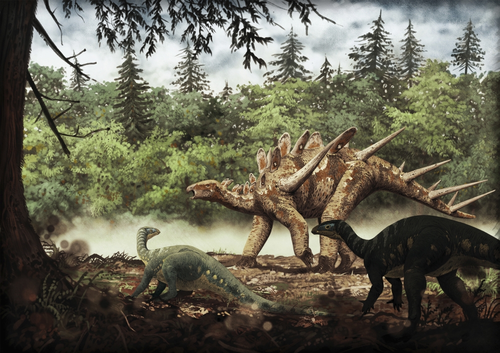Mutualistic Relationship Between Dacentrurus Armatus & Draconyx Loureiroi Portuguese Tithonian Age - Late Jurassic Poster Print - 16 x 11