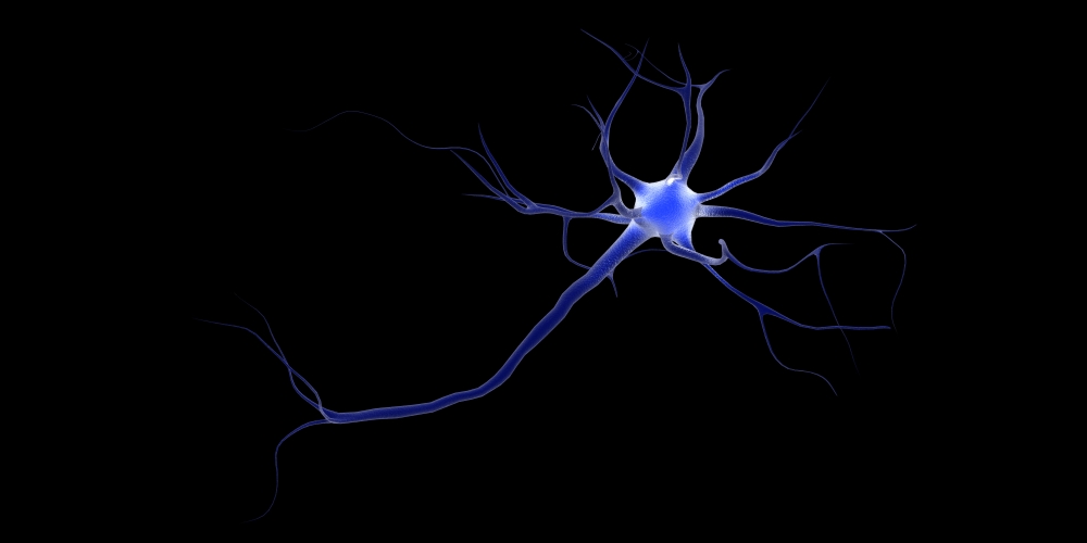 Conceptual Image of A Neuron Poster Print, 40 x 20 - Large