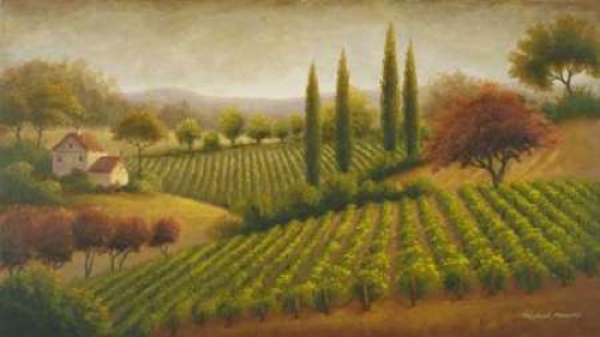 Vineyard in The Sun I Poster Print by Michael Marcon - 12 x 18 - Small