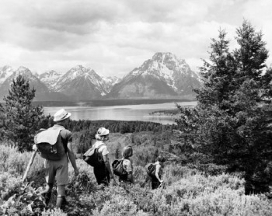 Superstock  Rear View of A Mid Adult Couple Hiking with Their Children in A Forest Grand Teton National Park Wyoming USA Poster Print, 24 x 36 - Large