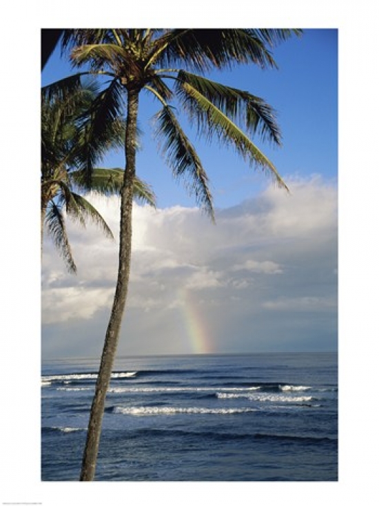 Kauai Hawaii USA Poster Print, 18 x 24