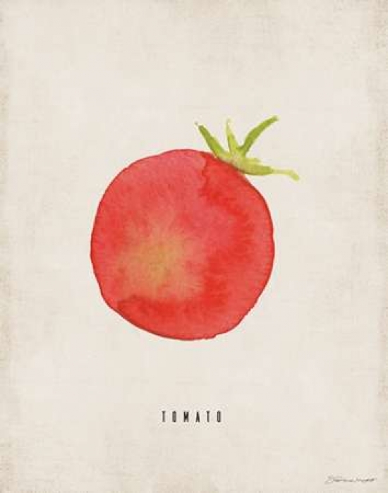 Tomato Poster Print by Stephanie Marrott - 11 x 14 - Small