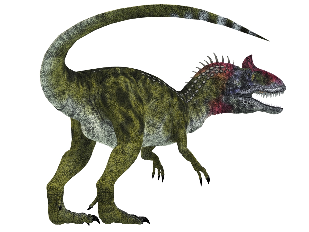 Cryolophosaurus Dinosaur White Background - 16 x 12
