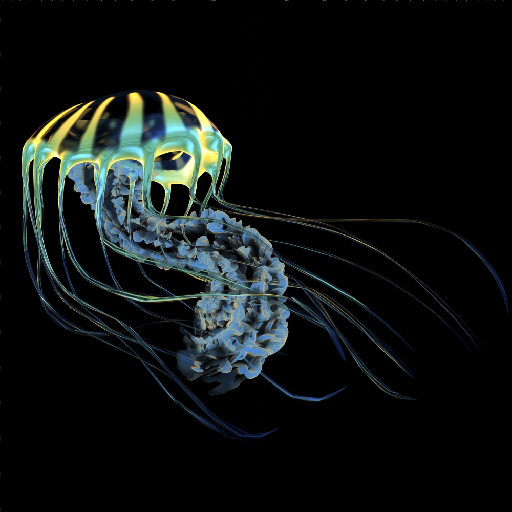 A Bioluminescent Jellyfish is A Predator Catching Small Fish & Organisms with Their Poisonous Tentacles Poster Print - 14 x 14
