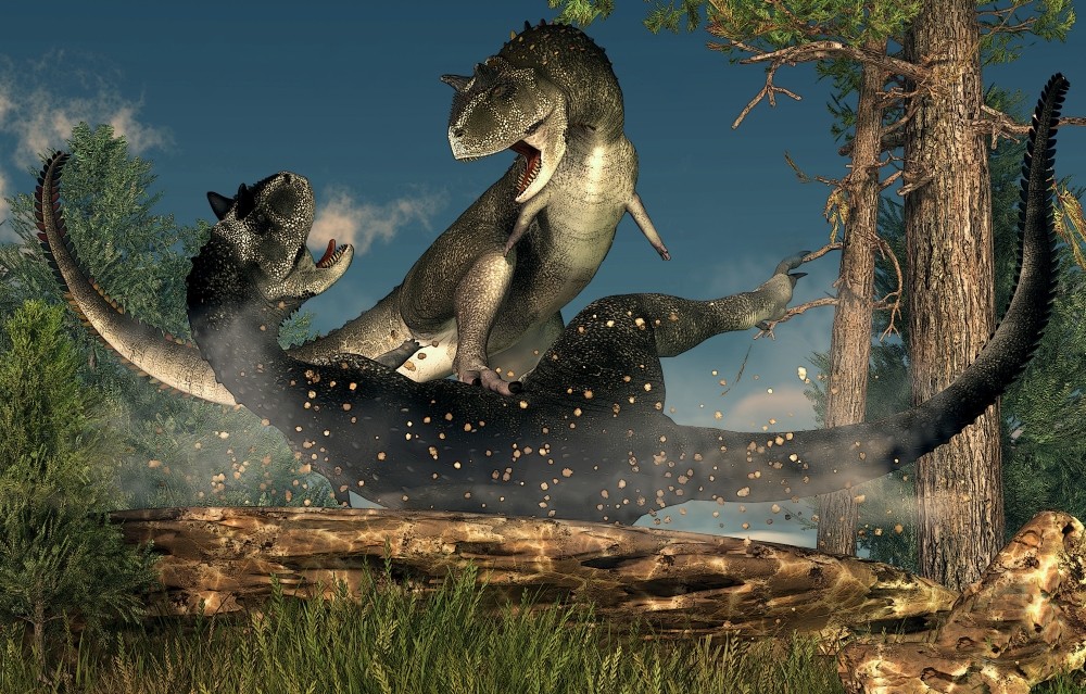 StockTrek Images PSTDEK600008P A Couple of Carnotaurus Dinosaurs Fighting Poster Print, 17 x 11