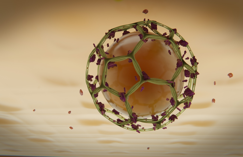 Clathrin Mediated Endocytosis Poster Print, 17 x 11
