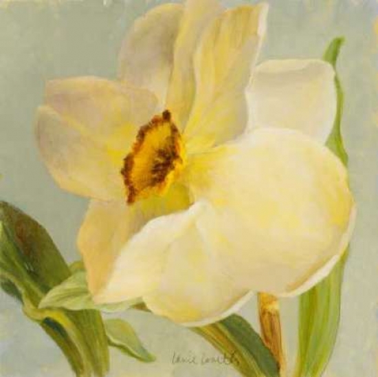 Daffodil Sky II Poster Print by Lanie Loreth - 24 x 24 - Large