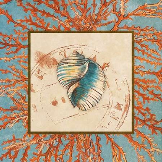 Coral Medley Shell I Poster Print by Lanie Loreth - 12 x 12 - Small