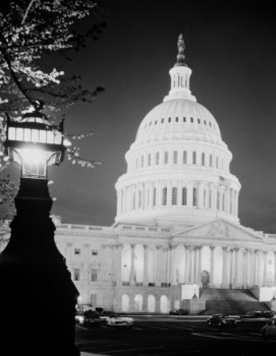 USA Washington D.C. Capitol Building Poster Print, 24 x 36 - Large
