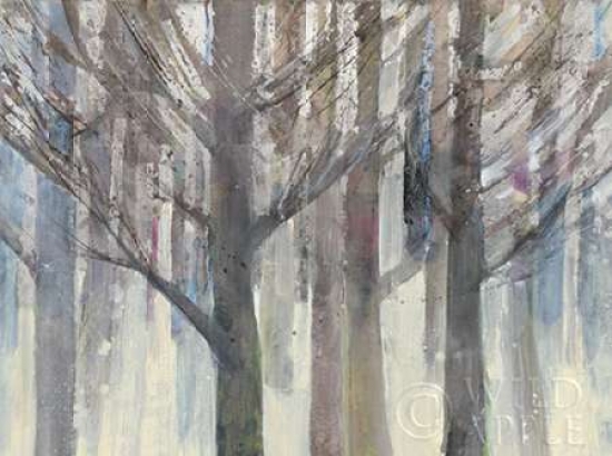 Forest Light Poster Print by Albena Hristova, 11 x 14 - Small