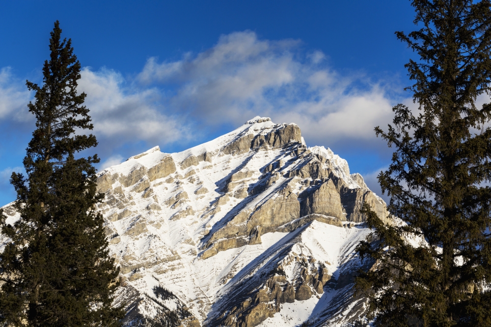 Snow Covered Mountain Framed by Evergreen Trees with Blue Sky & Clouds - Banff Alberta Canada Poster Print - 38 x 24 in. - Large