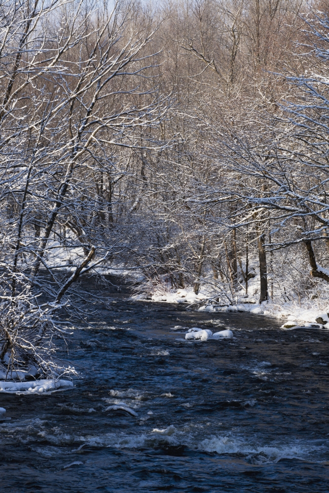 Water Flowing in A River with Snow Covered Shoreline - Fulford Quebec Canada Poster Print - 24 x 38 in. - Large