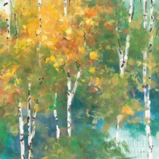 Confetti I Poster Print by Julia Purinton - 12 x 12 - Small