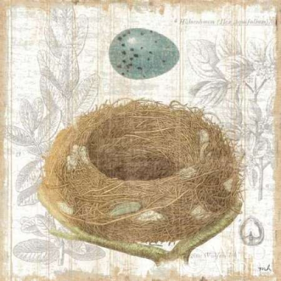 Botanical Nest III Poster Print by Moira Hershey - 12 x 12 - Small