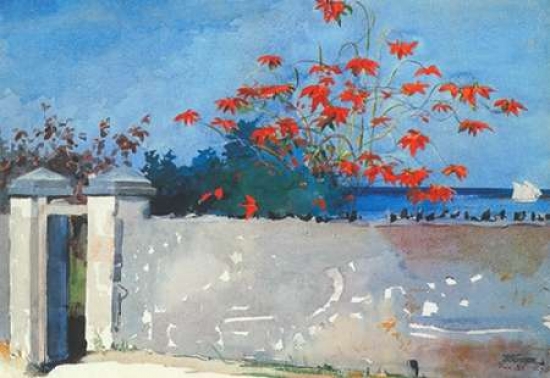A Wall Nassau Poster Print by Winslow Homer, 10 x 14 - Small