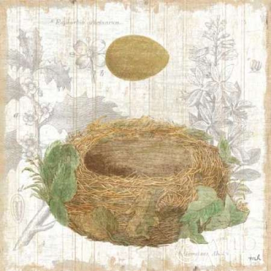 Botanical Nest IV Poster Print by Moira Hershey, 12 x 12 - Small