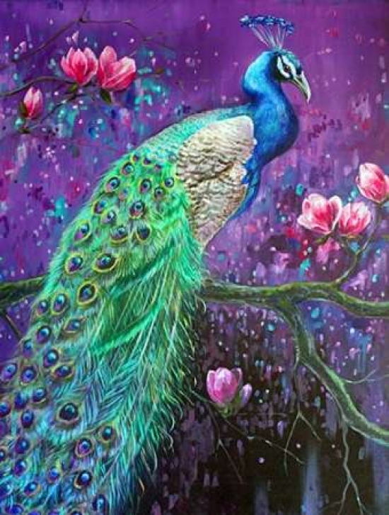 Picture of AD Lines PDXLNRC003ASMALL Botanical Peacock 1 Poster Print by Lisa Colberg&#44; 11 x 14 - Small