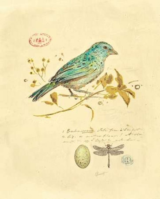 Picture of Art In Motion PDX122BAR1162SMALL Gilded Songbird 1 Poster Print by Chad Barrett&#44; 11 x 14 - Small