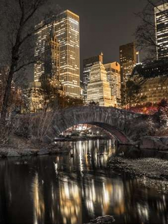 Evening View of Central Park in New York City Poster Print by Assaf Frank - 9 x 12 - Small