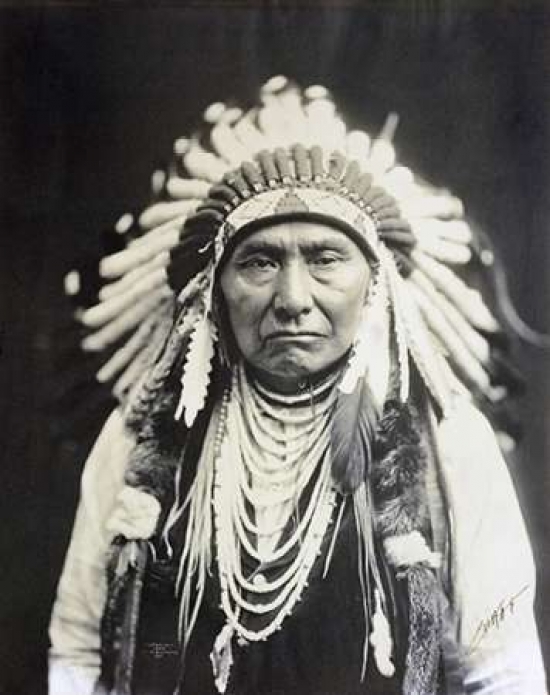 Chief Joseph Nez Perce 1903 Poster Print by Edward S. Curtis, 8 x 10 - Small