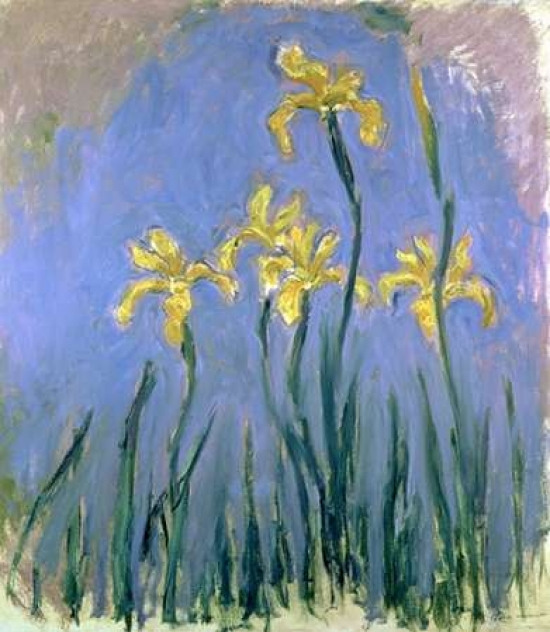 Yellow Irises Poster Print by Claude Monet, 24 x 24 - Large