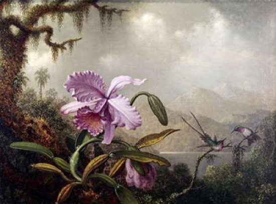 Hummingbirds & Orchids Poster Print by Martin Johnson Heade, 9 x 12 - Small