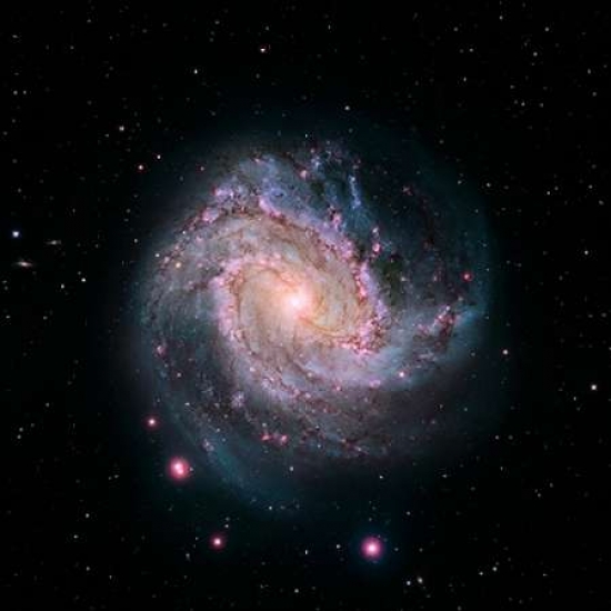 Bentley Global Arts PDX450035SMALL M83 - Spiral Galaxy - Hubble-Magellan Composite Poster Print by Nasa, 12 x 12 - Small