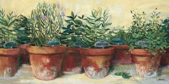 PDX8999SMALL Potted Herbs I Poster Print by Carol Rowan, 10 x 20 - Small