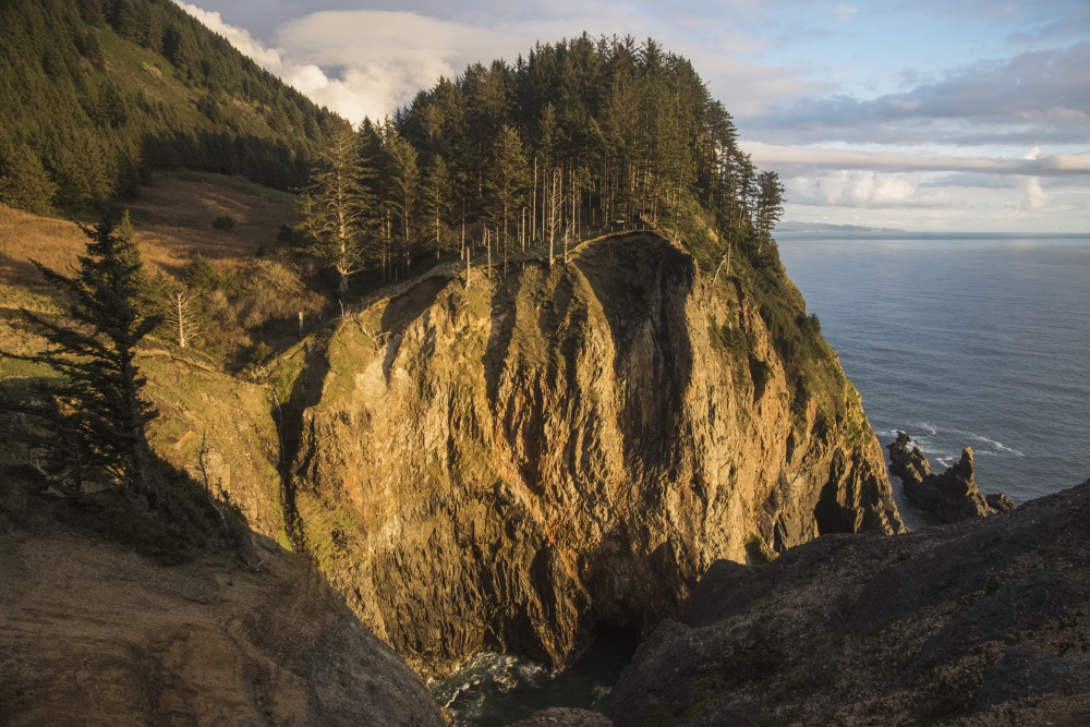 DPI12277090 Tall Cliffs Are Found at Oswald West State Park - Manzanita Oregon United States of America Poster Print - 18 x 12 in.