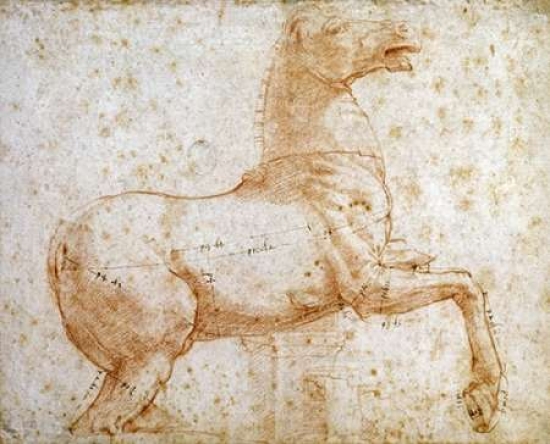 Study of One of The Quirinal Marble Horses Poster Print by Raphael, 10 x 12 - Small