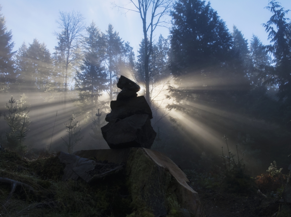 Sun Shines Through An Ishigumi in Fog & Forest - Vancouver Island British Columbia Canada Poster Print - 17 x 13 in.