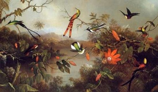 Tropical Landscape with Ten Hummingbirds Poster Print by Martin Johnson Heade - 12 x 18 - Small